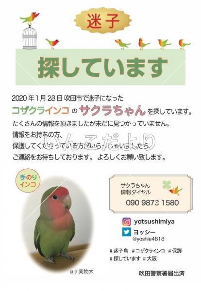 コメントの画像