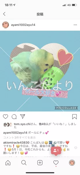 コメントの画像