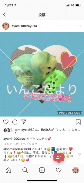 コメントの画像