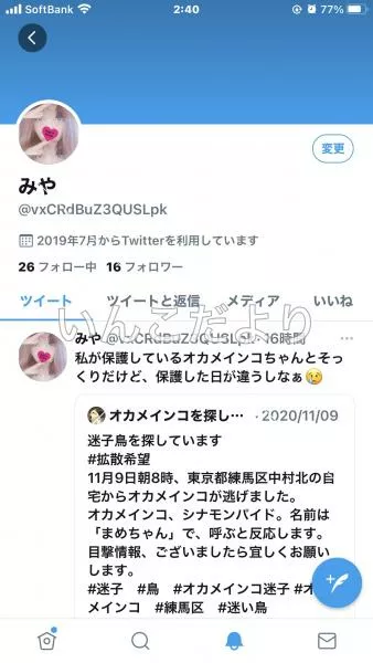 コメントの画像