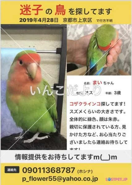 コメントの画像