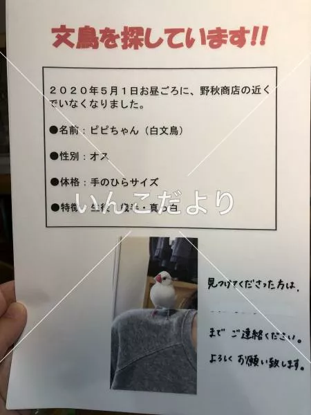 コメントの画像