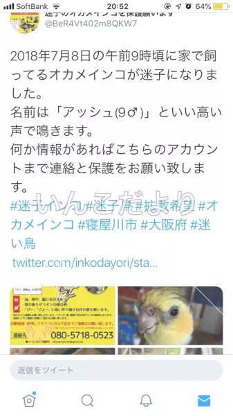 コメントの画像