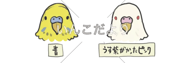 コメントの画像