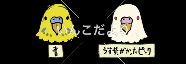 コメントの画像