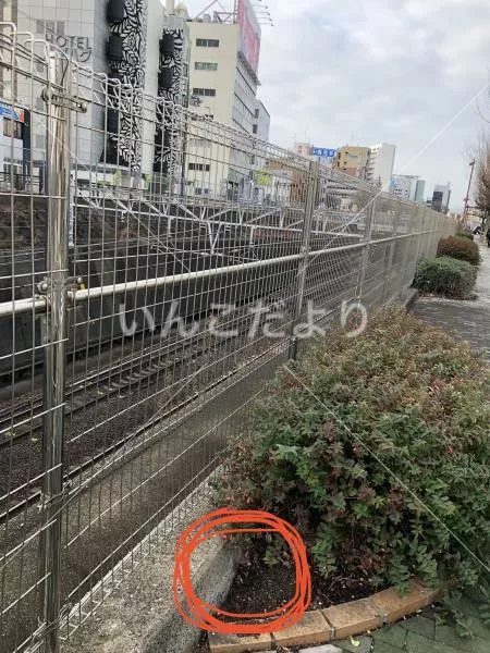 コメントの画像