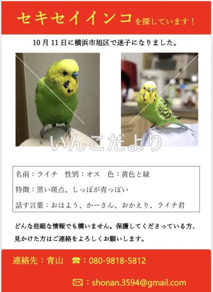 コメントの画像