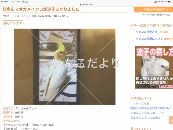 コメントの画像