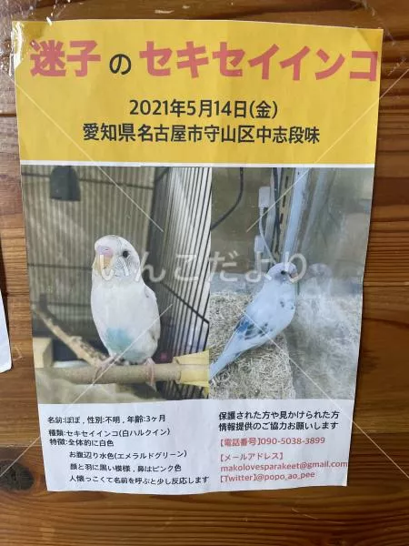 コメントの画像