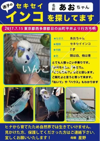 コメントの画像