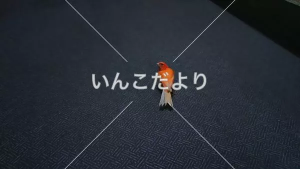 コメントの画像