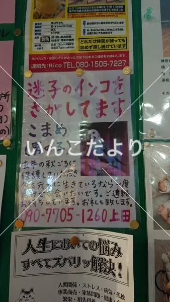 コメントの画像