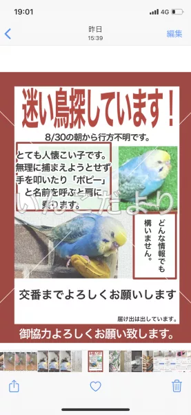 コメントの画像