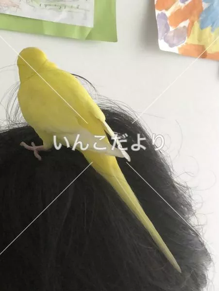 コメントの画像