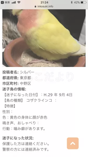 コメントの画像