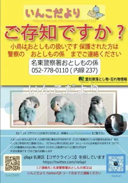 コメントの画像