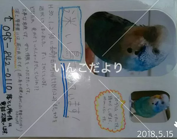 コメントの画像