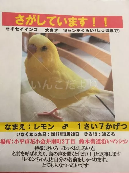 コメントの画像