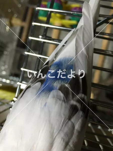 コメントの画像