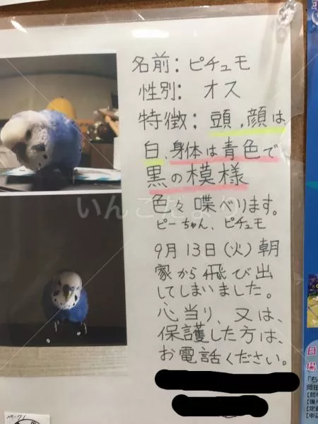 コメントの画像