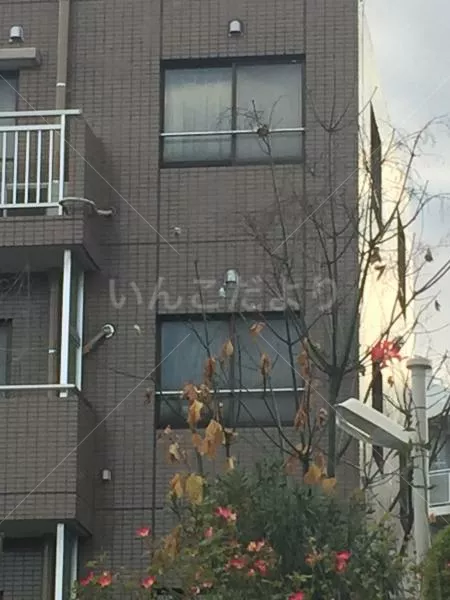 コメントの画像