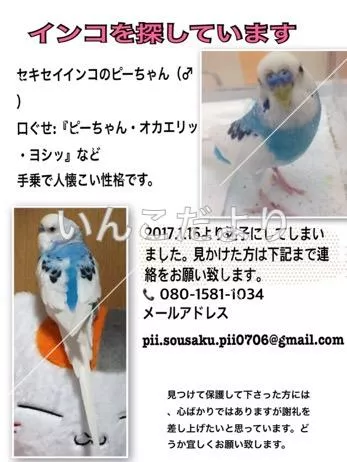 コメントの画像