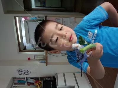 コメントの画像