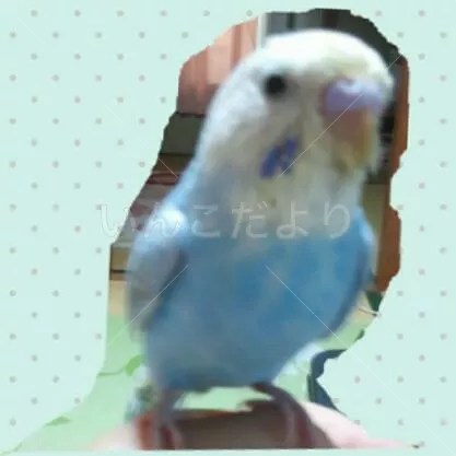 コメントの画像