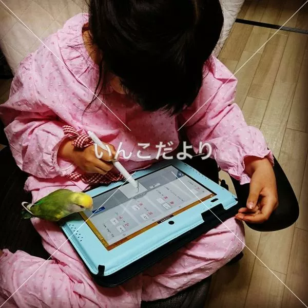 コメントの画像