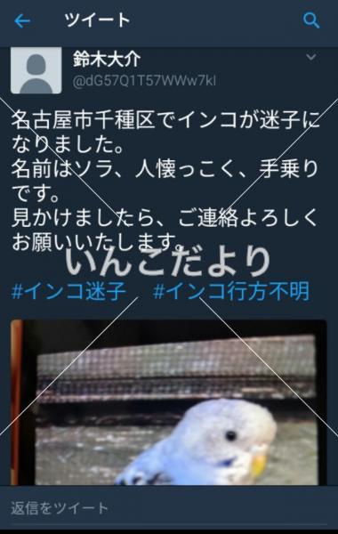 コメントの画像