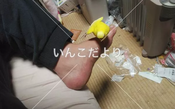 コメントの画像