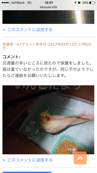コメントの画像