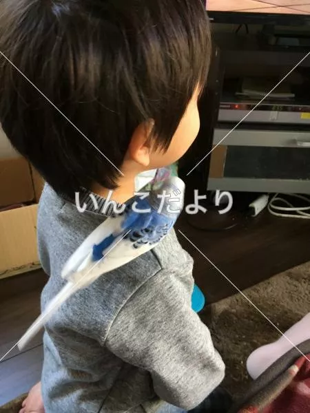 コメントの画像