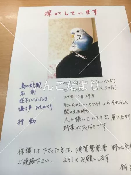 コメントの画像