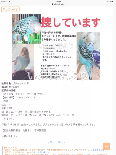 コメントの画像