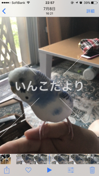 コメントの画像