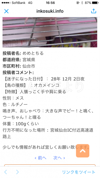 コメントの画像