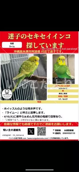 コメントの画像