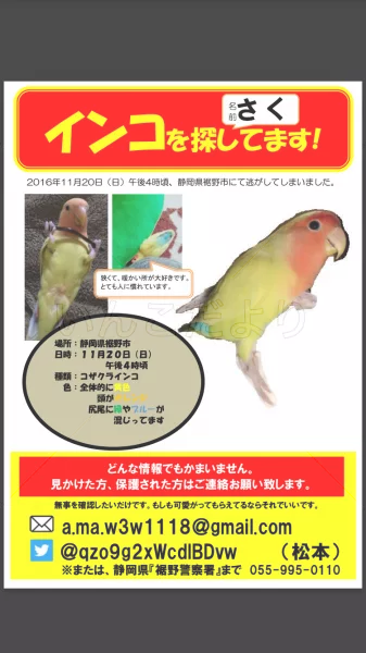 コメントの画像