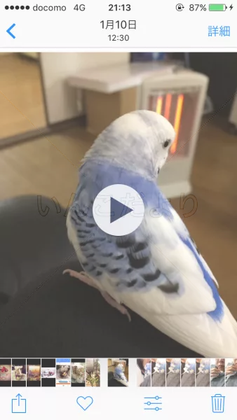 コメントの画像