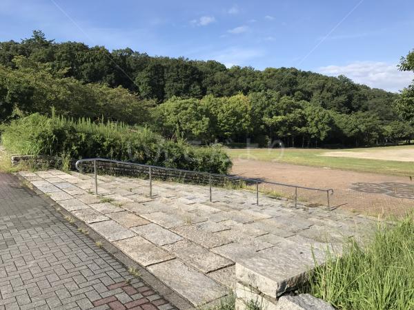 コメントの画像