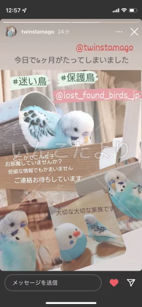 コメントの画像