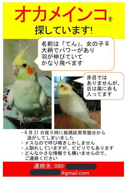 コメントの画像