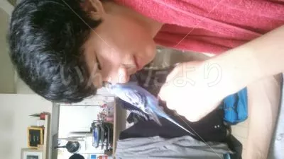 コメントの画像