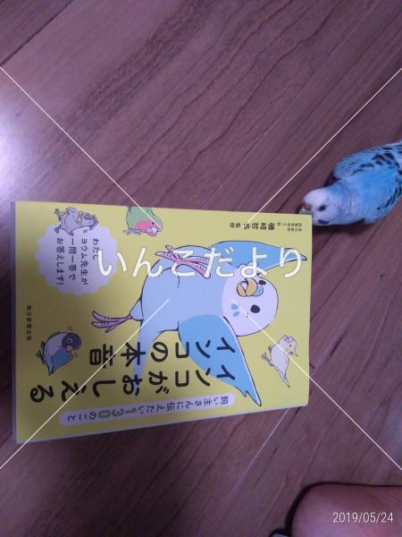 コメントの画像