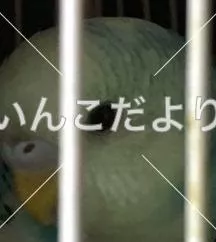 コメントの画像