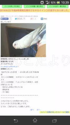 コメントの画像