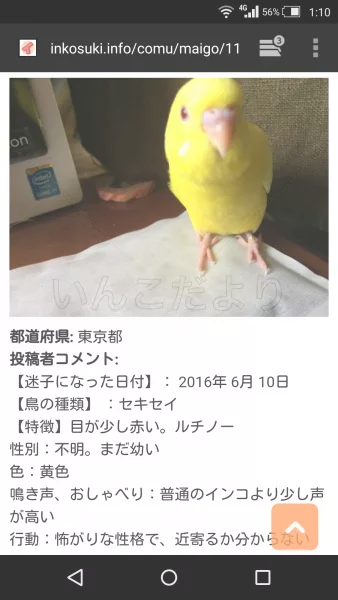 コメントの画像