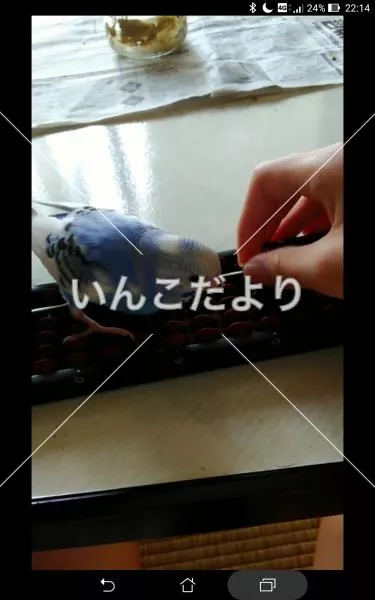 コメントの画像