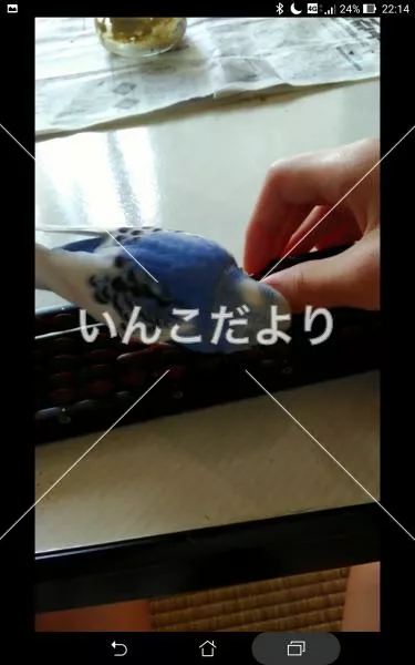 コメントの画像